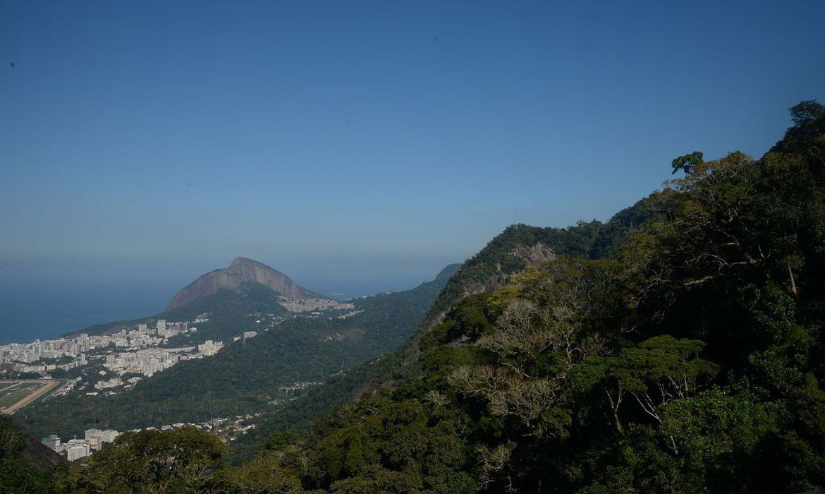 Parque Nacional da Tijuca reabre para atividades desportivas