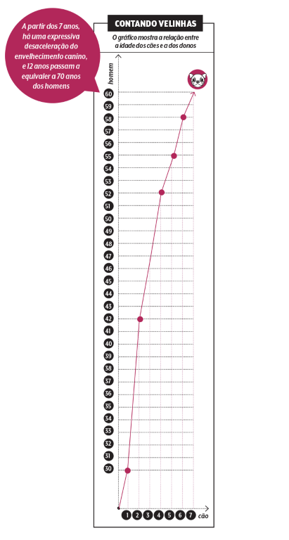 Um ano da nossa vida corresponde a sete da do cão? Não é bem assim