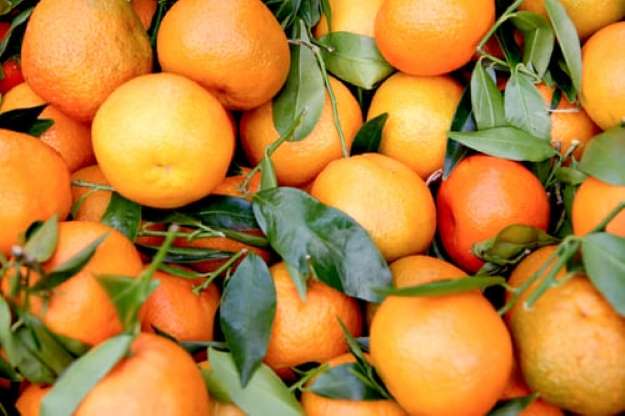 Ressaca pós Ano Novo? Conheça alimentos que desintoxicam o corpo 4