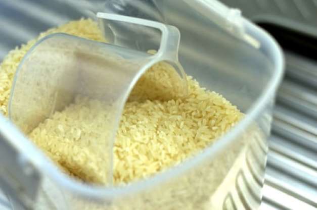 Ressaca pós Ano Novo? Conheça alimentos que desintoxicam o corpo