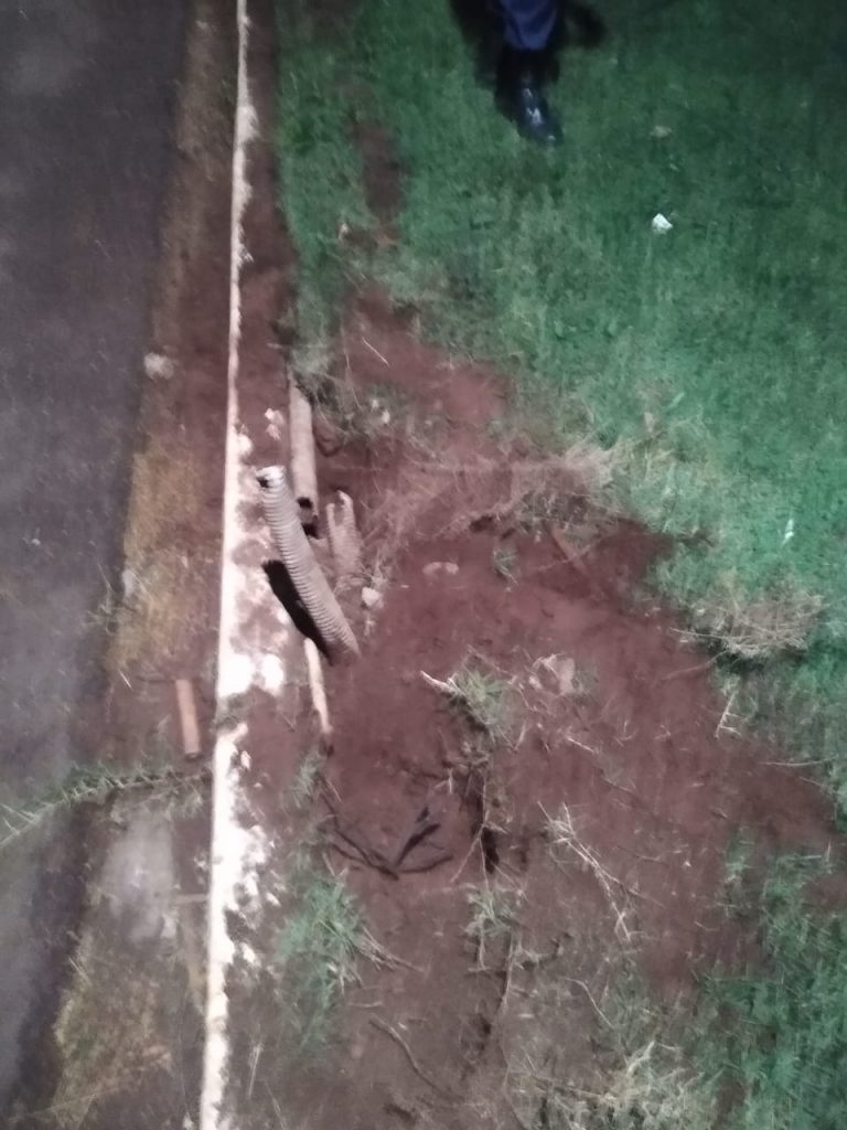 "Tatu" é pego pela Gcmfron em flagrante tentando furtar fios na Avenida Brasil