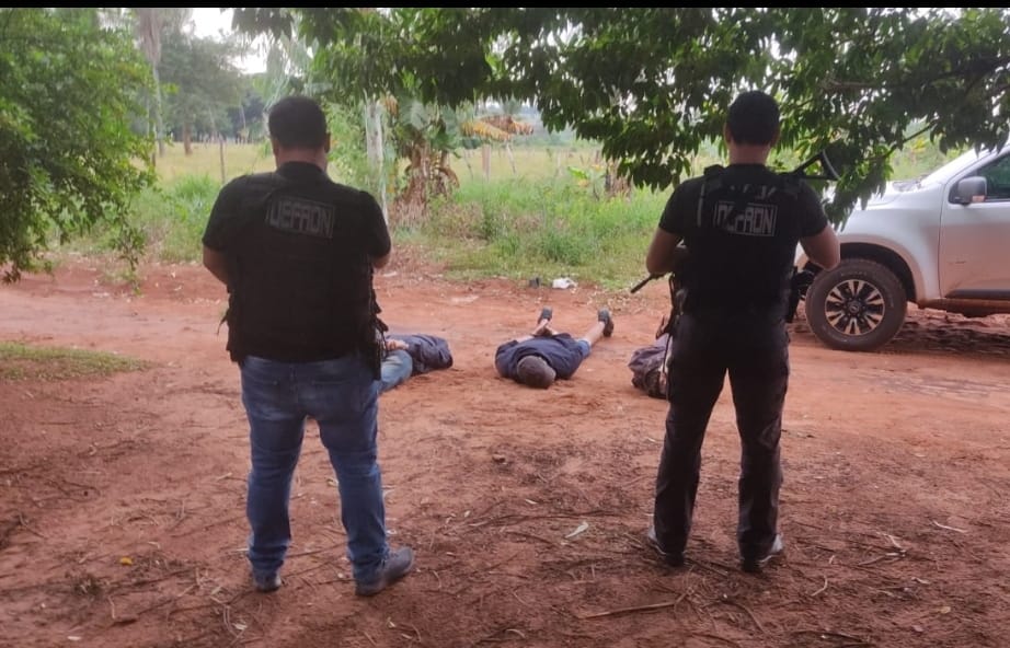 DEFRON, apreende 800 quilos de maconha que estavam armazenados em uma propriedade rural e efetua a prisão de 04 indivíduos
