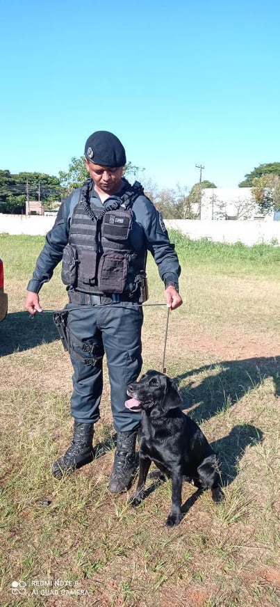 Polícia Militar de Ponta Porã inaugura canil da corporação