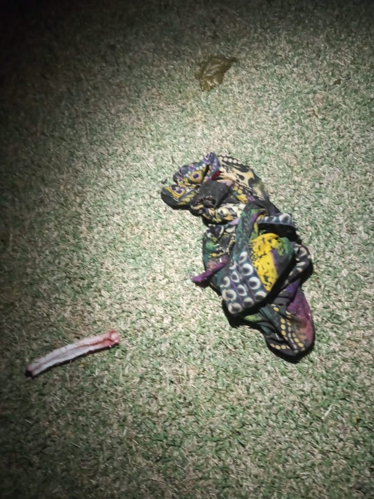 URGENTE! Cachorro é morto e esquartejado em possível ritual de magia negra em Ponta Porã 3
