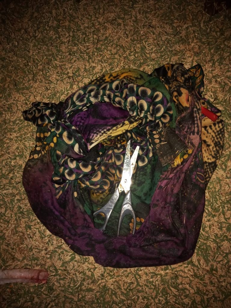 URGENTE! Cachorro é morto e esquartejado em possível ritual de magia negra em Ponta Porã
