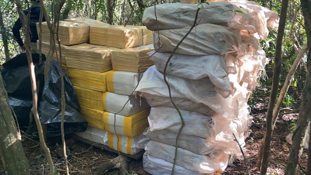 Foram apreendidos 7,4 toneladas de maconha em plantação no Paraguai