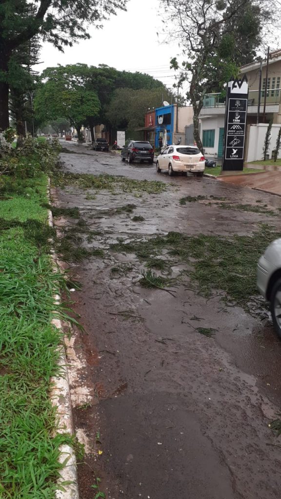 Temporal causa estragos, derruba árvores e arranca telhado em Ponta Porã 1