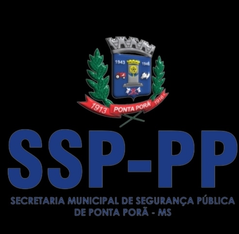Relatório estatísticos dos atendimentos da Guarda Civil no Período de 01/01/2023 A 24/01/2023