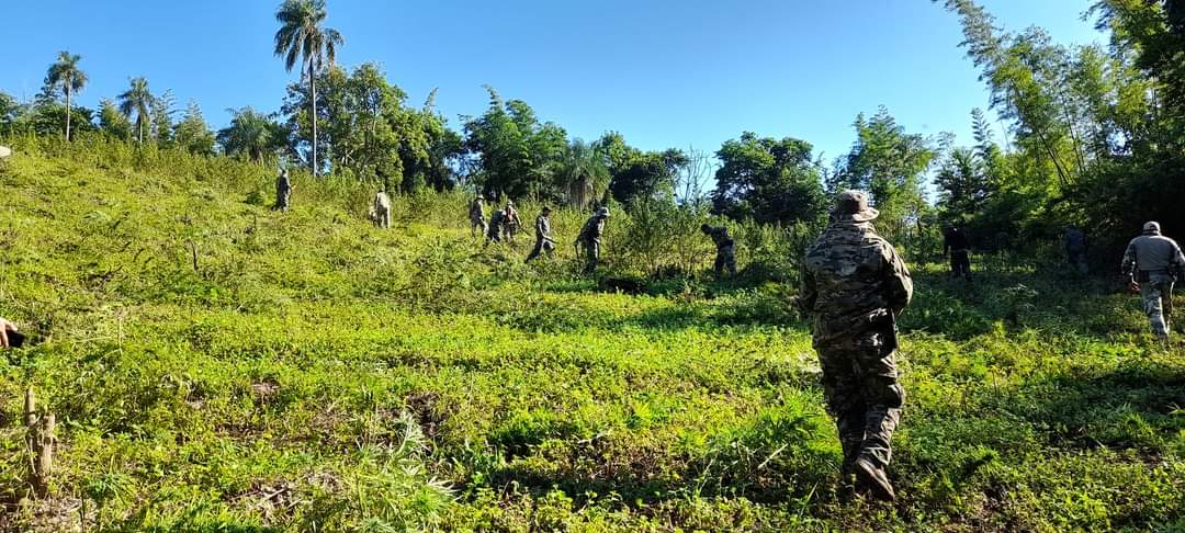 Operação Nova Aliança apreende toneladas de maconha na região de fronteira