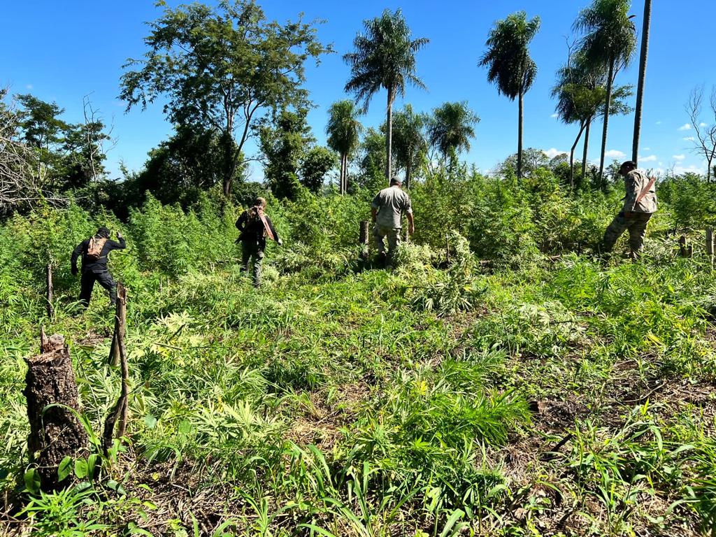 Operação Nova Aliança apreende toneladas de maconha na região de fronteira 4