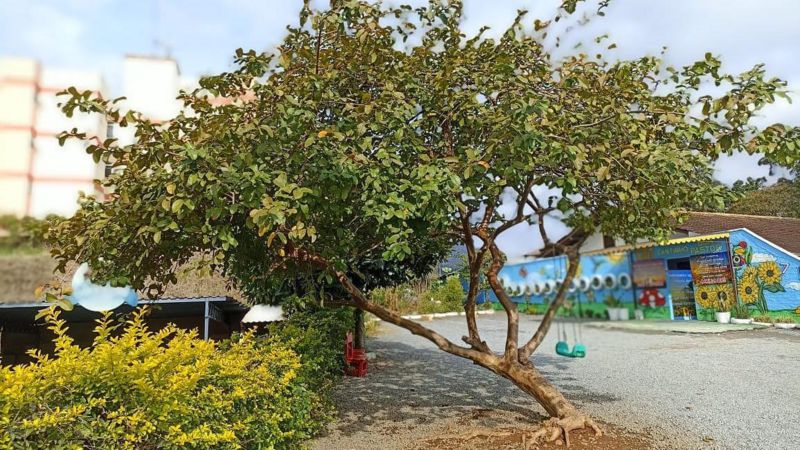 Imagem da frente da creche particular Cantinho Bom Pastor