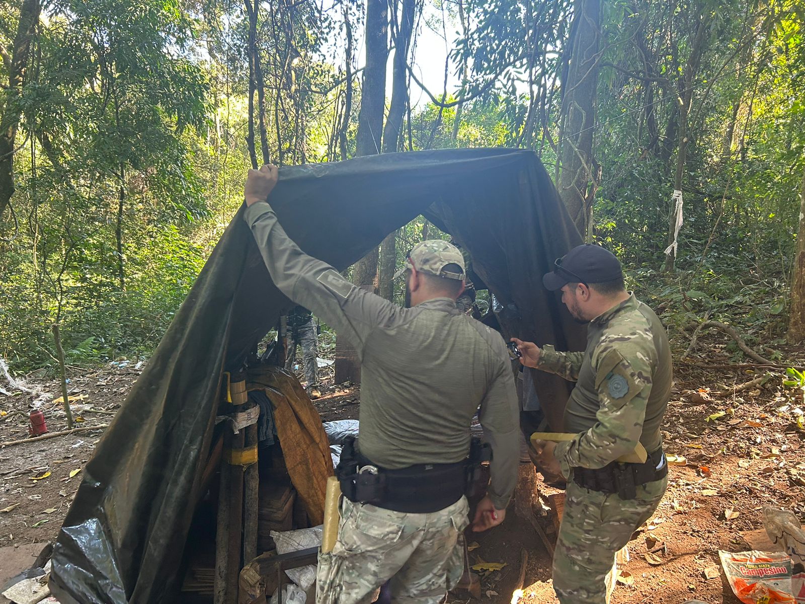 Operação da SENAD resulta na destruição de plantação de maconha e  acampamentos clandestinos - Brasiguaio News