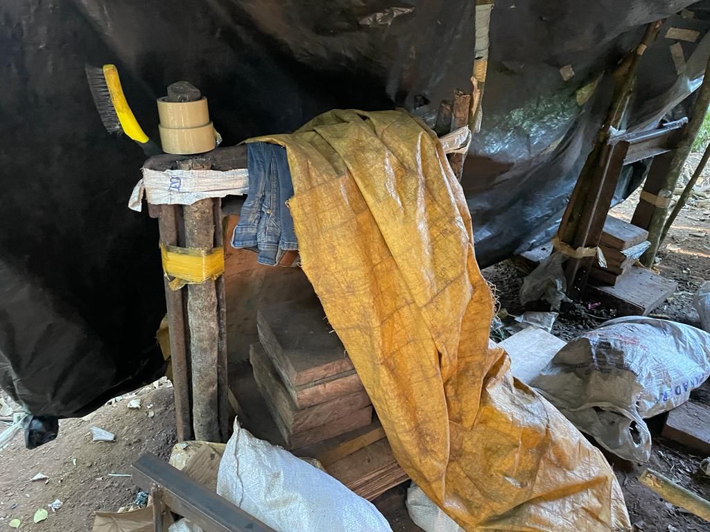 Operação da SENAD resulta na destruição de plantação de maconha e acampamentos clandestinos 1