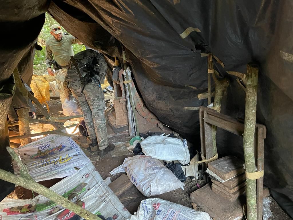Operação da SENAD resulta na destruição de plantação de maconha e acampamentos clandestinos 2