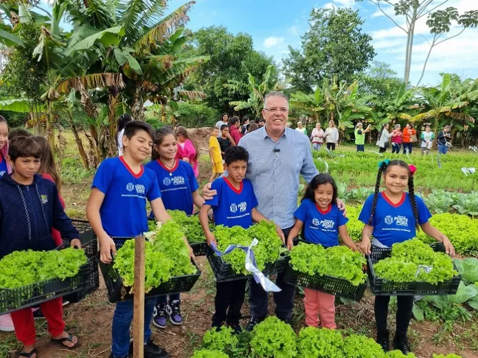 Comunidade celebra colheita de repolhos na Horta comunitária de Sanga Puitã