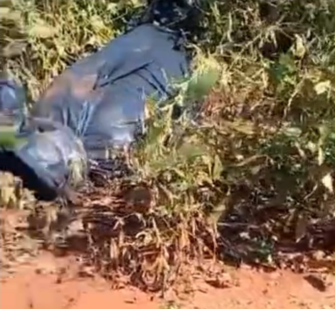 Mistério em Ponta Porã: Possível Cadáver Encontrado em Plantação de Soja Mistério em Ponta Porã: Possível Cadáver Encontrado em Plantação de Soja