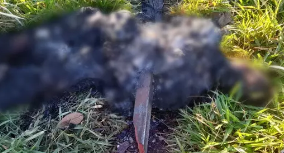 Mistério em Ponta Porã: jovem colombiano é identificado dias após ser encontrado morto e queimado Mistério em Ponta Porã: jovem colombiano é identificado dias após ser encontrado morto e queimado
