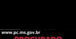 Policiais durante operação de buscas por fugitivo na região do Itapema, em Ponta Porã