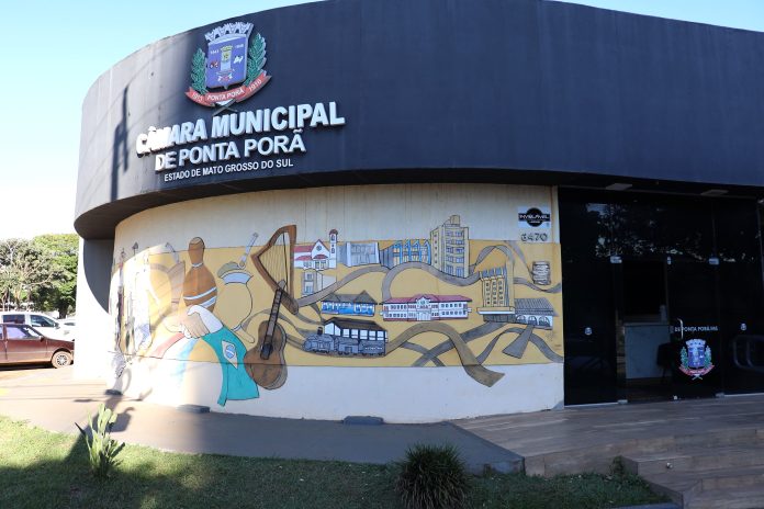 Vereadores cumprem agenda na capital