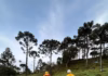 Destroços do helicóptero com o cantor Rick encontrados em Santa Catarina