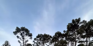 Destroços do helicóptero com o cantor Rick encontrados em Santa Catarina